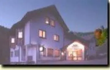 Hotel Waldhotel Bellevue 3*